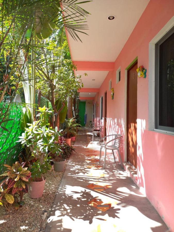 Casona Del Negro Aguilar Hotell Valladolid  Eksteriør bilde